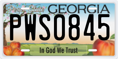 GA license plate PWS0845