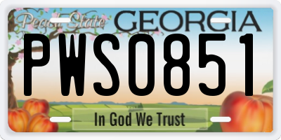 GA license plate PWS0851