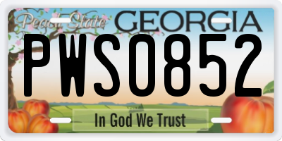 GA license plate PWS0852
