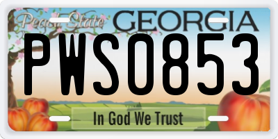 GA license plate PWS0853