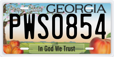 GA license plate PWS0854