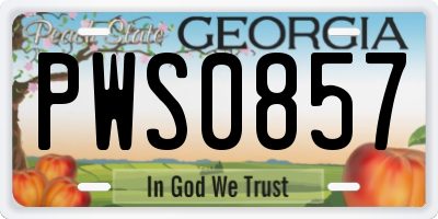 GA license plate PWS0857