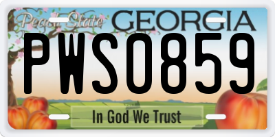 GA license plate PWS0859