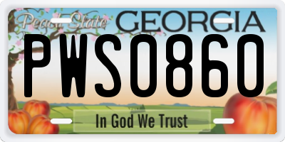 GA license plate PWS0860
