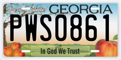 GA license plate PWS0861
