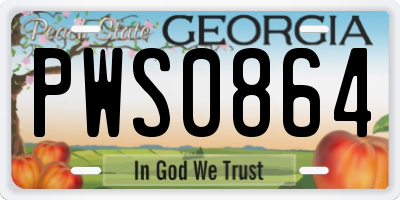 GA license plate PWS0864