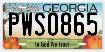GA license plate PWS0865