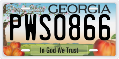 GA license plate PWS0866