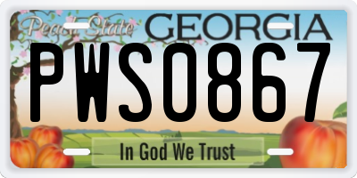 GA license plate PWS0867