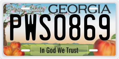GA license plate PWS0869