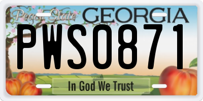 GA license plate PWS0871