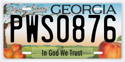 GA license plate PWS0876