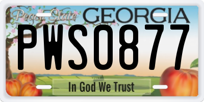 GA license plate PWS0877