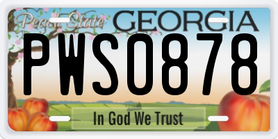 GA license plate PWS0878