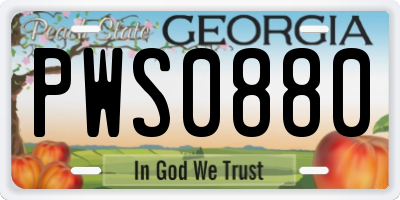 GA license plate PWS0880