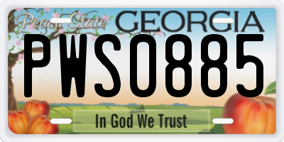GA license plate PWS0885