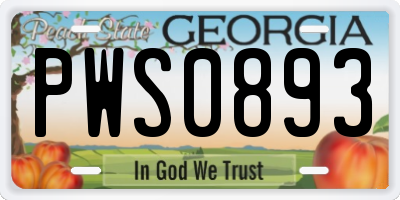 GA license plate PWS0893