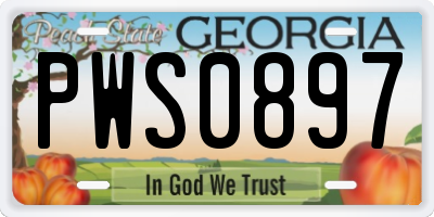 GA license plate PWS0897