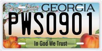 GA license plate PWS0901