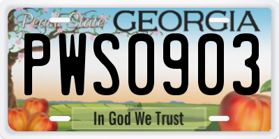GA license plate PWS0903