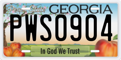 GA license plate PWS0904