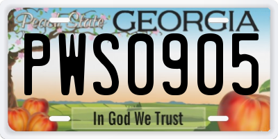 GA license plate PWS0905