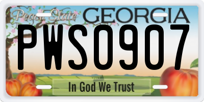 GA license plate PWS0907