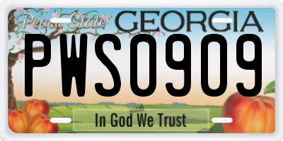 GA license plate PWS0909