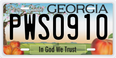 GA license plate PWS0910