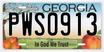 GA license plate PWS0913