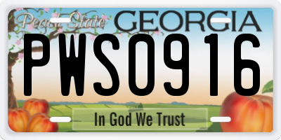 GA license plate PWS0916