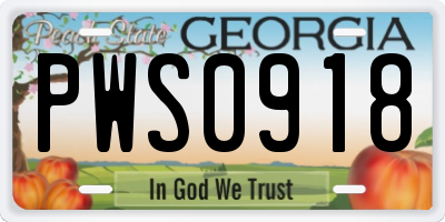 GA license plate PWS0918