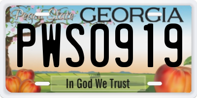 GA license plate PWS0919