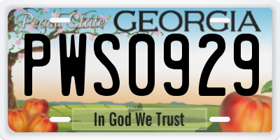GA license plate PWS0929