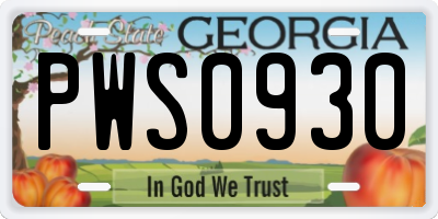 GA license plate PWS0930