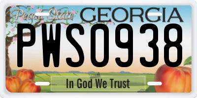 GA license plate PWS0938