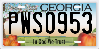 GA license plate PWS0953