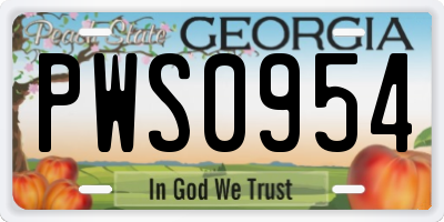 GA license plate PWS0954