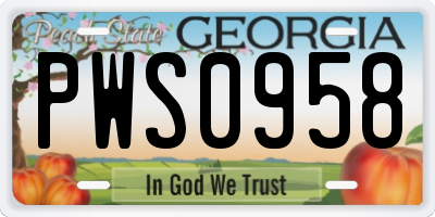 GA license plate PWS0958