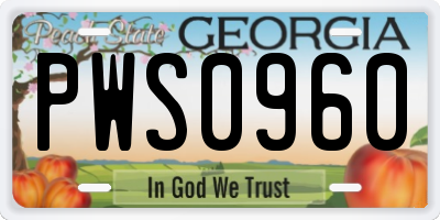 GA license plate PWS0960