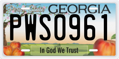 GA license plate PWS0961
