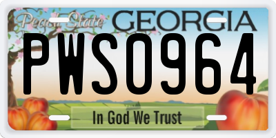 GA license plate PWS0964