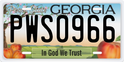 GA license plate PWS0966