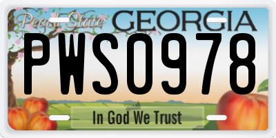 GA license plate PWS0978