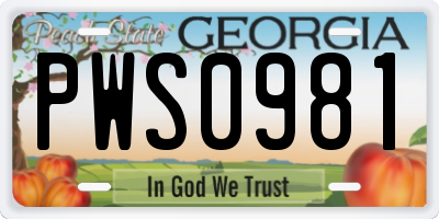 GA license plate PWS0981