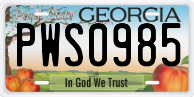 GA license plate PWS0985