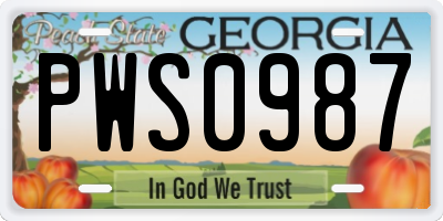 GA license plate PWS0987