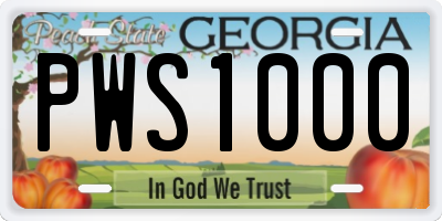 GA license plate PWS1000