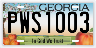 GA license plate PWS1003