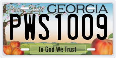 GA license plate PWS1009